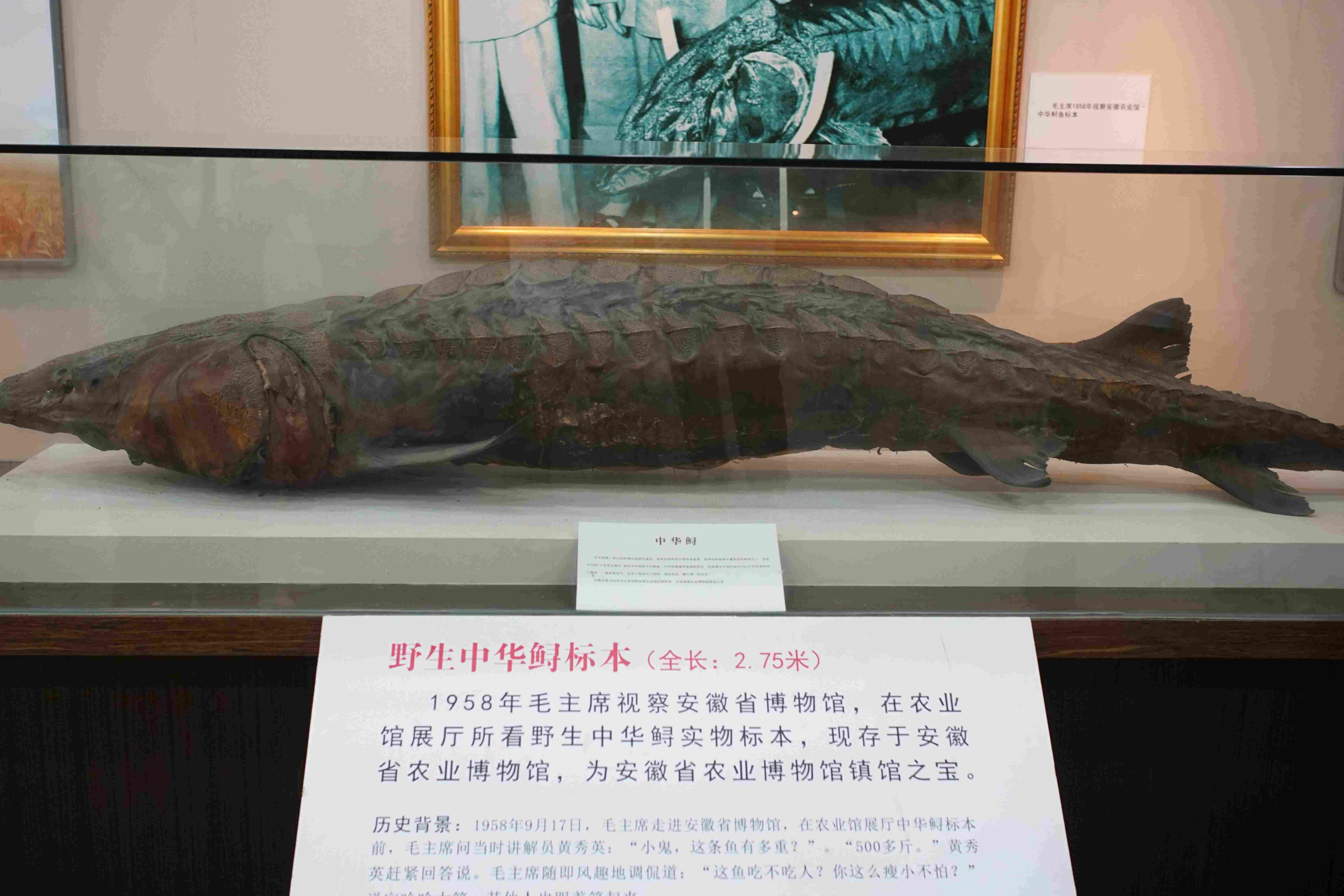 参观农业文明展厅
